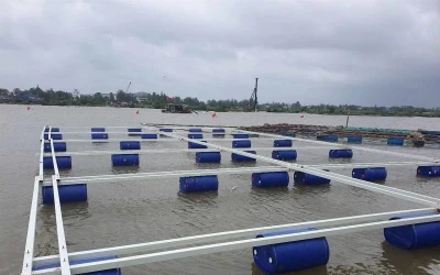 Kẹp phao ao tôm bằng ống composite phi34 cho miền Tây