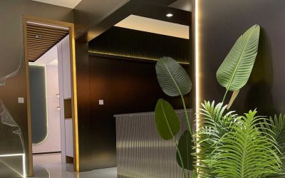 Tấm ốp than tre cho spa, thẩm mỹ viện – Trang trí sang trọng, thư giãn!