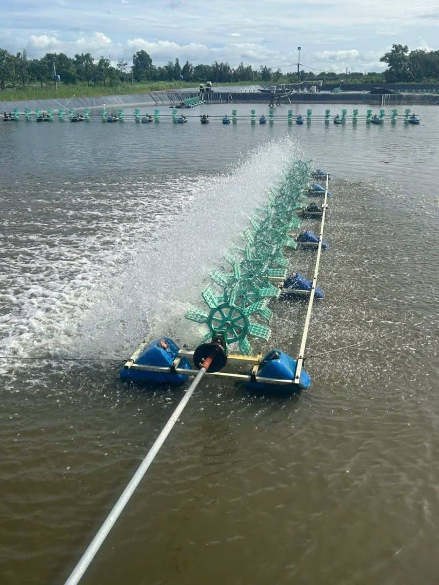 Dàn quạt đang chạy, nước quạt tạt lên phao và ống kẹp suốt ngày đêm